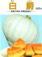白かぼちゃ苗(白爵)　4月上旬～販売(予約受付中)