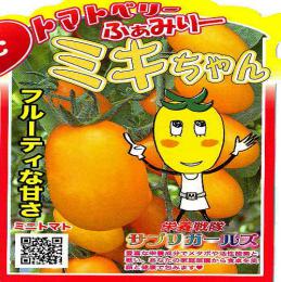 実生ミニトマト苗 オレンジ色(ミキちゃん)3本セット