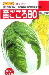 黄ごころ80　白菜